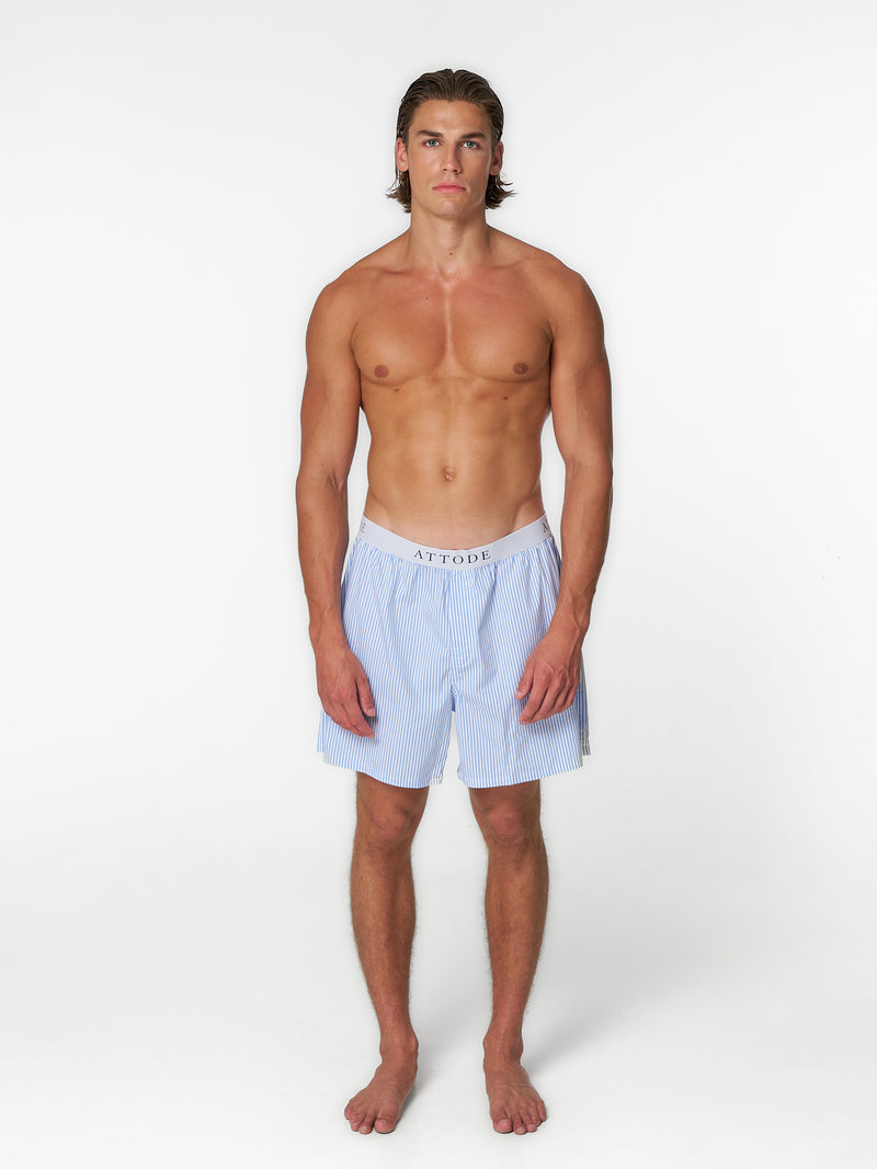Striped Boxer Briefs 2-Pack