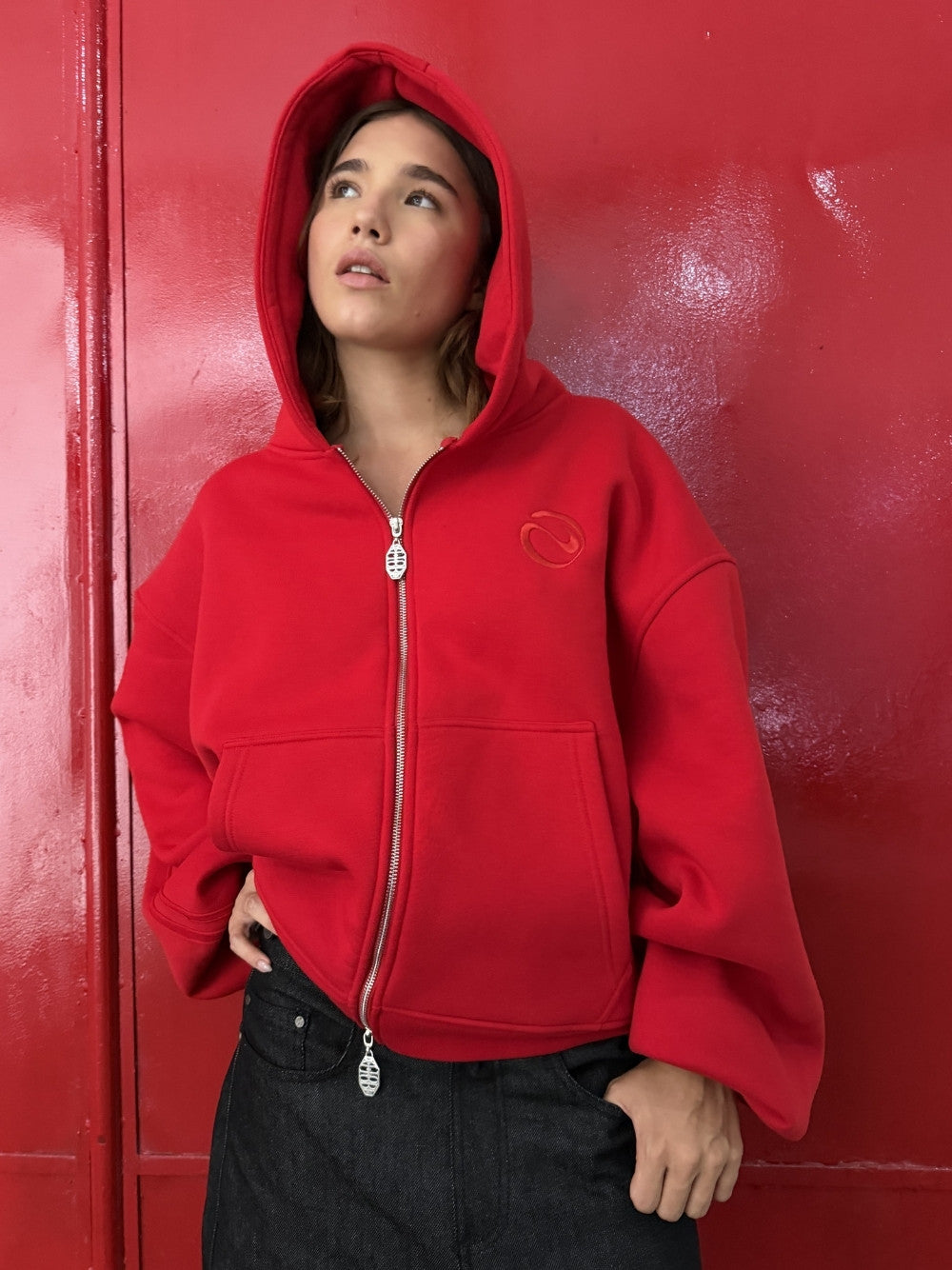 Rail Zip Hoodie Red